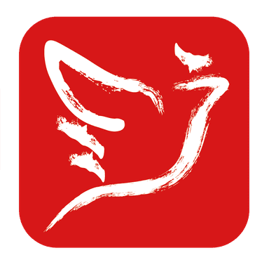 飞子科技LOGO